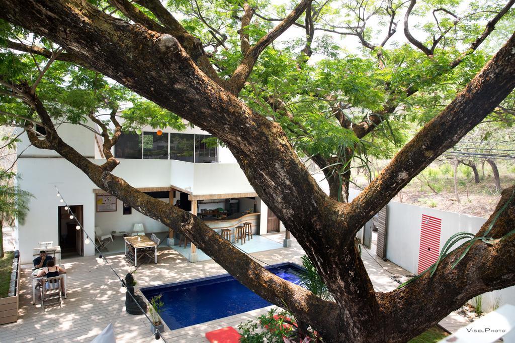 15 Love Bed & Breakfast Tamarindo Exteriör bild